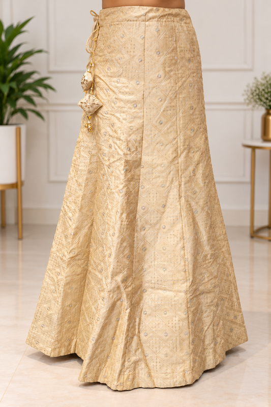Champagne Gold Embroidered Lehenga Skirt – Traditional Indian Party Wear